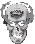 Stone Cold Steve Austin